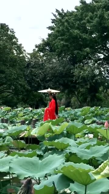 荷花服飾，傳統(tǒng)美學與現代時尚的完美交融